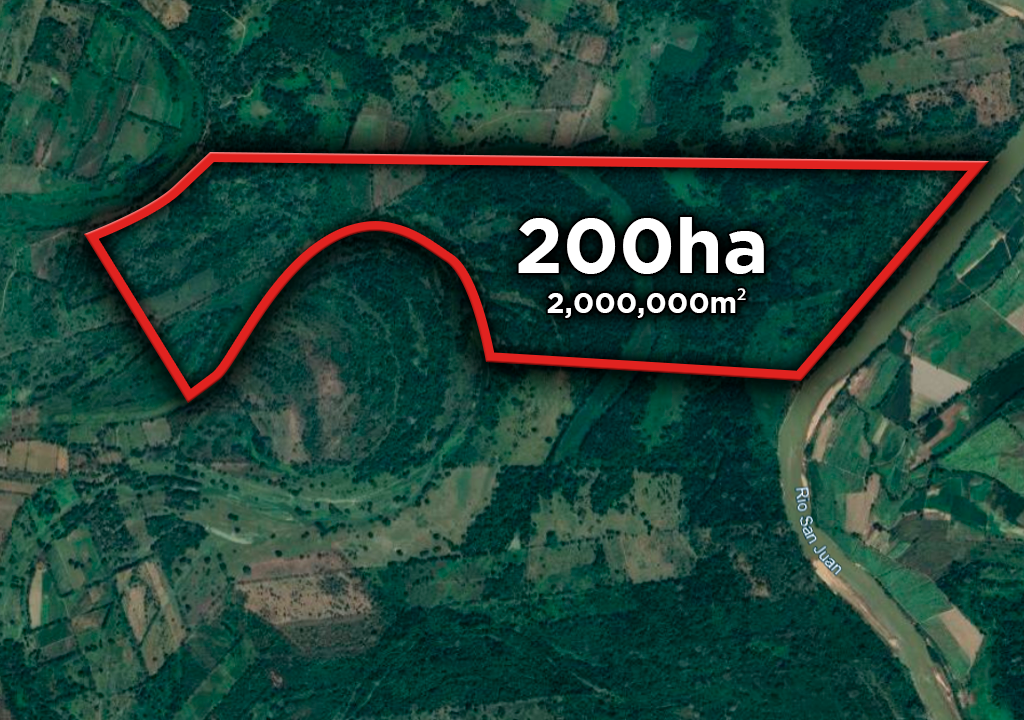 DHV01