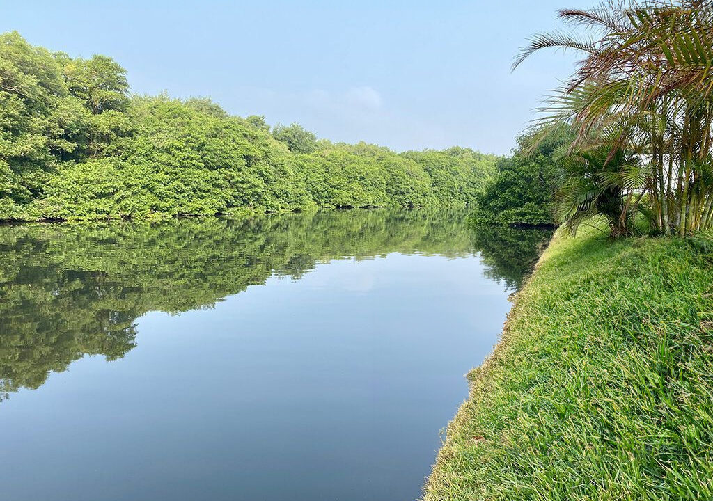 maroma