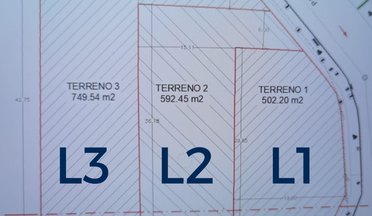 L1