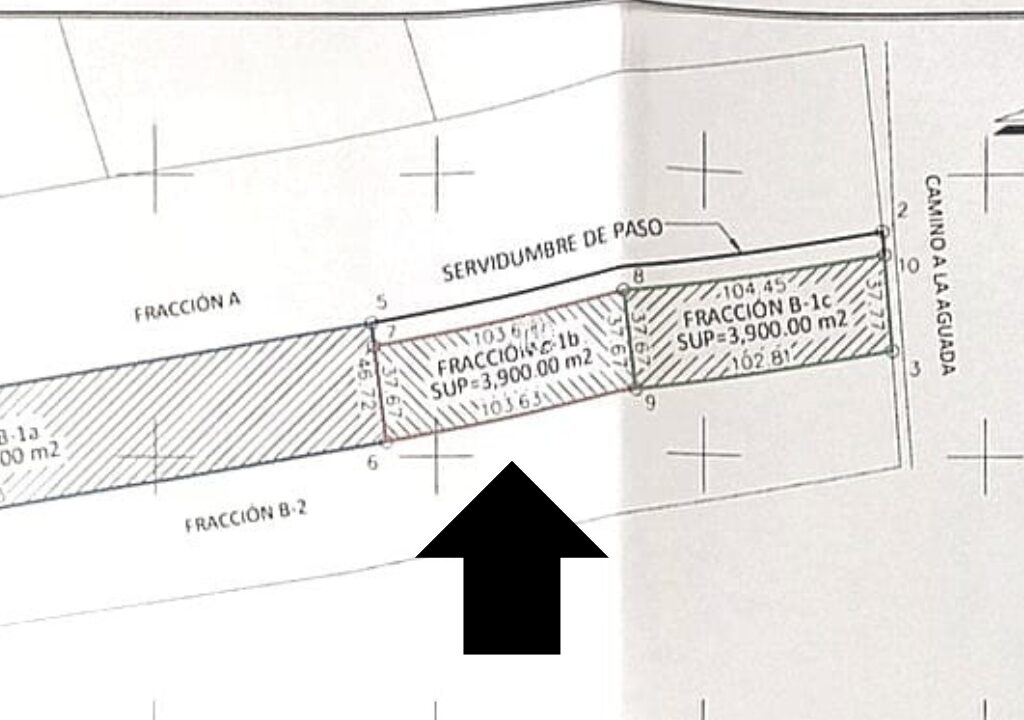 Diseño sin título (12)