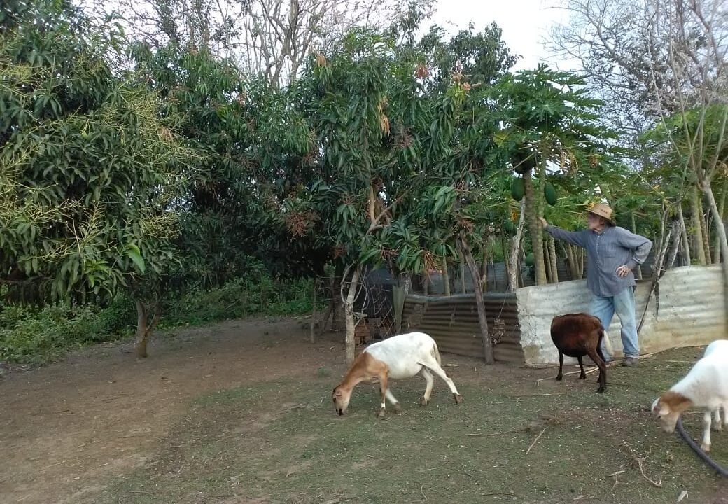 WhatsApp Image 2023-04-10 at 6.43.04 PM (1)