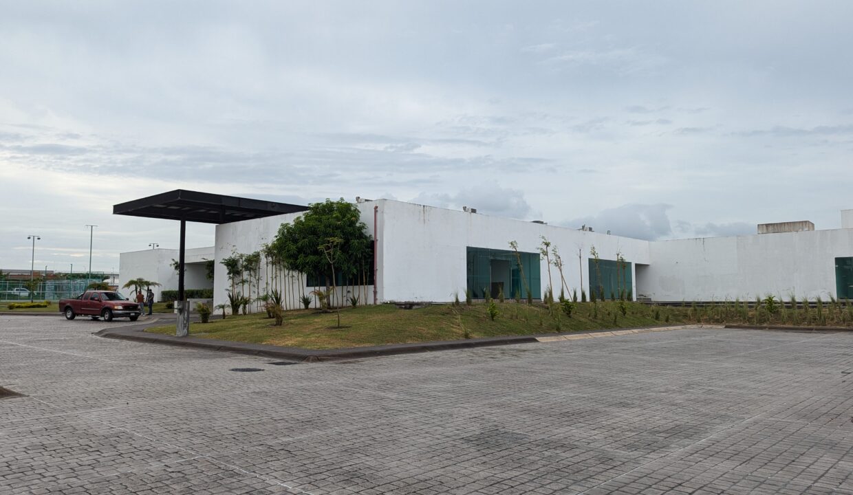 PXL_20241018_220805786