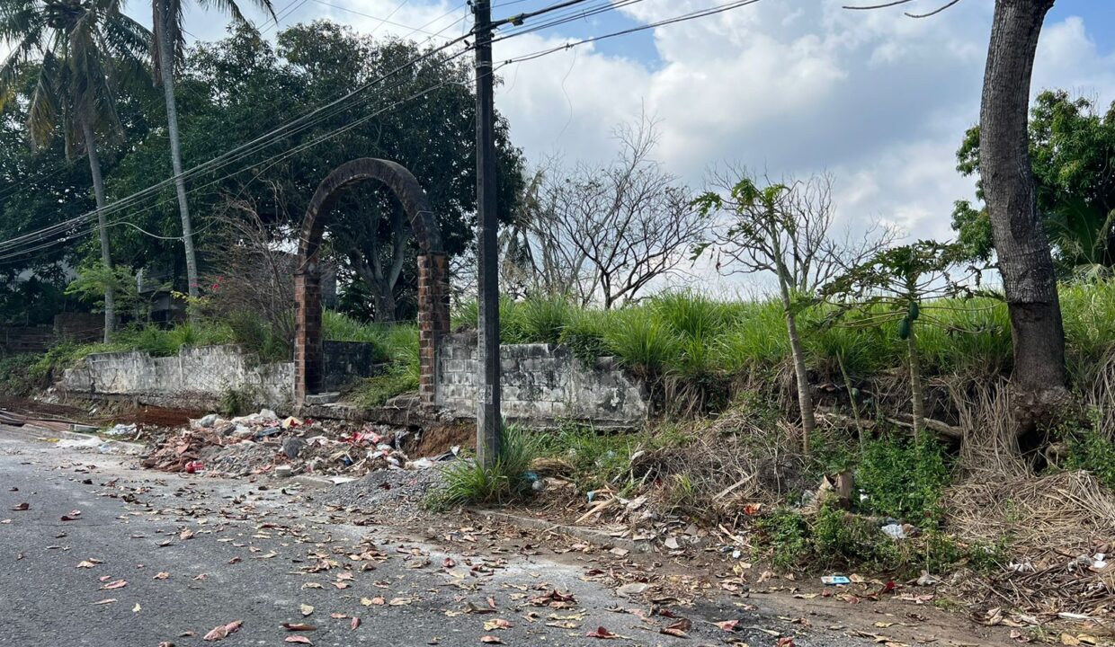 RIO MORENO