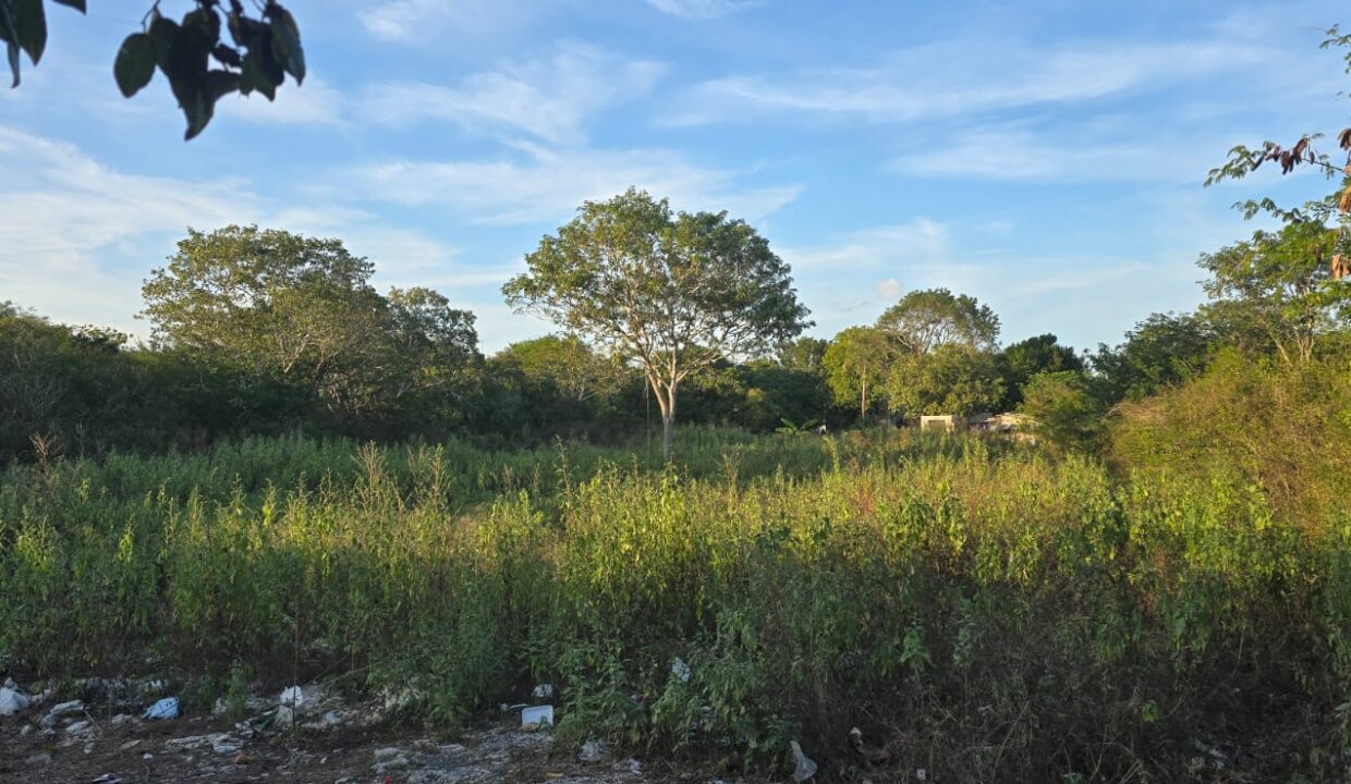 RIO MORENO 2
