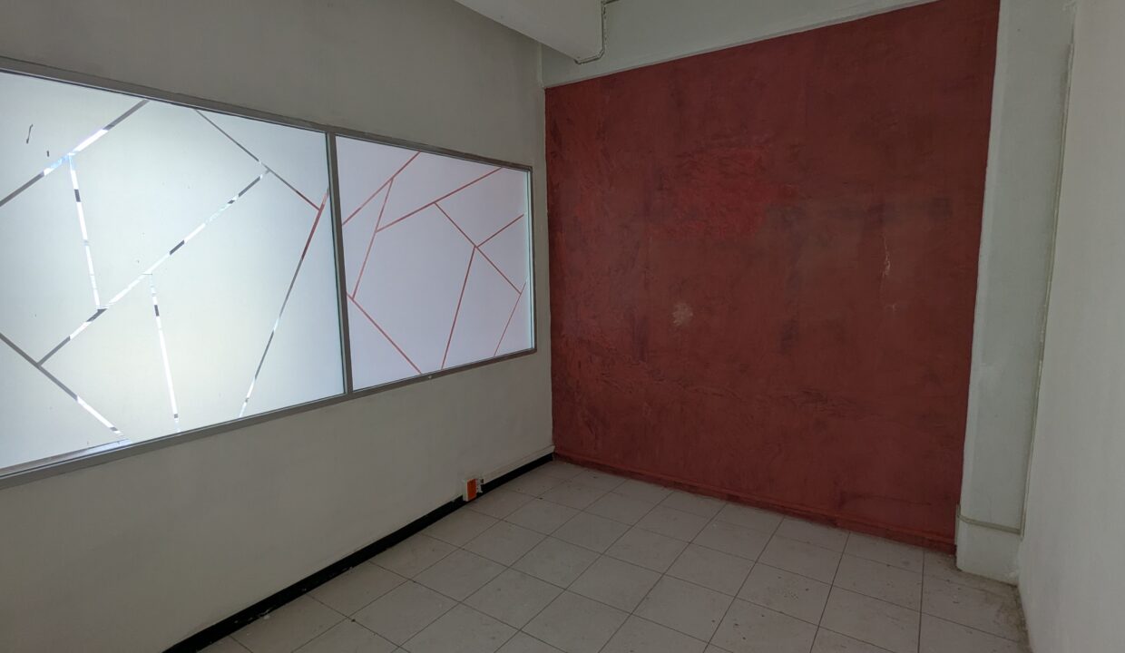 PXL_20250625_154124773.MP